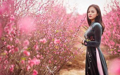 Chính phủ chốt thời gian nghỉ Tết Nguyên đán Quý Mão 2023