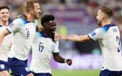 Rùa tiên tri dự đoán kết quả Anh vs Senegal: “Lục địa đen” trỗi dậy?