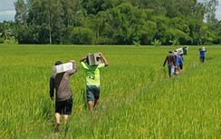 Khu tái định cư phục vụ cao tốc Bắc - Nam được Hậu Giang đầu tư ra sao?