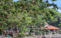 Xâm phạm di tích Ba Làng An: Càng chất vấn, lấn chiếm càng phức tạp hơn