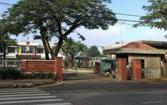 Phó chủ tịch quận nhận hối lộ: Công ty Thy Nghĩa Hưng liên tục trúng thầu