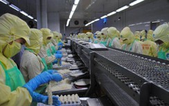 Xuất khẩu thủy sản, phân bón đem về cho Cà Mau 1,3 tỷ USD