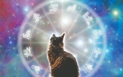 2023 là năm con gì và mệnh gì? Những lưu ý cần biết năm Quý Mão