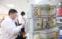 Tỷ giá USD hôm nay 12/12: Neo ở mức cao nhất
