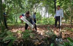 Đấu giá 2.000ha đất dọc Vành đai 3 TP.HCM thế nào?