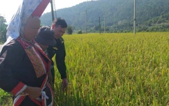 Đổi thay ở nơi "thâm sơn cùng cốc" giữa đại ngàn biên cương Quảng Ninh