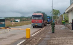 Bác thông tin vụ ẩu đả tại TP Móng Cái liên quan đến tranh lốt xe