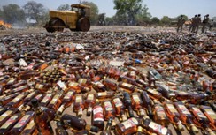 31 người tử vong vì ngộ độc rượu