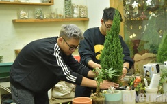 Thị trường cây cảnh dịp Giáng sinh: Bùng nổ sức mua