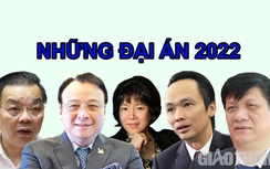 Những đại án kinh tế, tham nhũng rúng động năm 2022