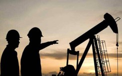 Giá xăng dầu hôm nay 20/12: Tiếp đà tăng