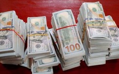 Hôm nay, xét xử vụ vận chuyển trái phép ra nước ngoài hơn 30.000 tỷ đồng