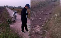 Phát hiện thi thể người đàn ông bị chém lìa đầu ở mương nước bên đường
