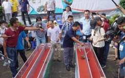 Hấp dẫn, kịch tính tại cuộc thi đua cua tốc độ ở Cà Mau