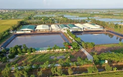 Trang trại bị dân phá đường, cắt lối đi phản đối đã khắc phục ô nhiễm