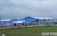 Sẵn sàng cho lễ khởi công cao tốc Bắc - Nam qua Quảng Ngãi