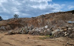 Bình Định: Doanh nghiệp san ủi đồi lấy đất trước khi tỉnh cho chủ trương