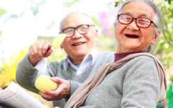 Hinode Royal Park, không gian sống trường thọ đến từ Nhật Bản