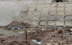 Phát hiện hộp sọ người dưới đáy sông