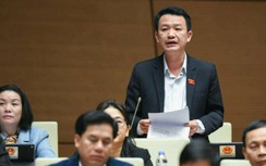 Đại biểu Quốc hội: Quy hoạch sân bay, cảng biển phải tránh lãng phí