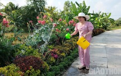 Du lịch sinh thái với cảnh vùng quê yên bình thu hút du khách đến Bạc Liêu