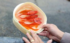 Thả cá chép ngày ông Công ông Táo thế nào cho đúng?