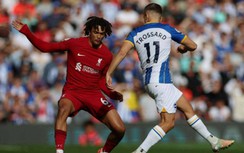 Nhận định, dự đoán kết quả Brighton vs Liverpool, vòng 20 Ngoại hạng Anh