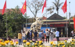 Cận cảnh linh vật mèo “hoàng hậu” khiến dân đội nắng chờ xem ở Quảng Trị