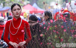 Nhộn nhịp chợ hoa truyền thống giữa lòng phố cổ Hà Nội ngày giáp Tết