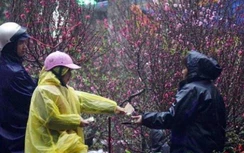 Thời tiết dịp Tết Nguyên đán 2023: Trời rét, có nơi xuống 9 độ