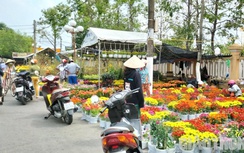 Xuất hiện gốc mai 1,5 tỷ đồng ở chợ hoa kiểng Bạc Liêu