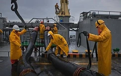 Vì sao thuyền viên Việt Nam khó kiếm cơ hội ở châu Âu?