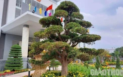 Sóc Trăng lần đầu tiên mở cửa cho người dân tham quan trụ sở UBND tỉnh