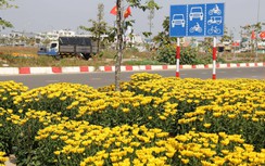 Sắc xuân ngập tràn khu tái định cư sân bay Long Thành