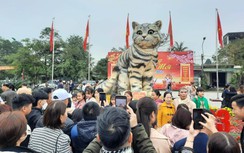 Chen chân check in cùng “hoa hậu” mèo ở Quảng Trị ngày mùng 2 Tết