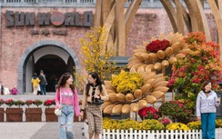 Du khách háo hức tới Bà Nà thưởng hoa đào chuông, xem show xe cổ