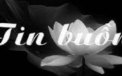 Tin buồn