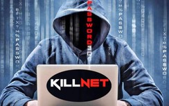 Trang web sân bay, Chính phủ, Ngoại trưởng Đức bị tin tặc tấn công