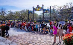 Thừa Thiên Huế đón lượng lớn du khách quốc tế trong dịp Tết Quý Mão