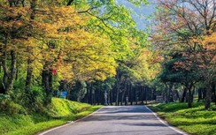 Gợi ý điểm du xuân đẹp sau Tết Nguyên đán 2023