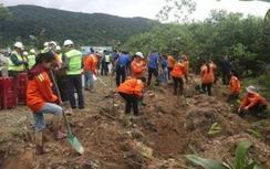 Trồng cây đảm bảo giao thông tại khúc cua "tay áo" trên đường Hồ Chí Minh
