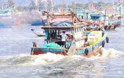 Xây dựng tuyến luồng vào khu bến cảng Thọ Quang tiếp nhận tàu 10.000DWT