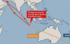 Ngồi máy bay 13 giờ, kết cục vẫn về lại chỗ cũ