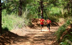 Những điểm đặc biệt của THACO Marathon vì ATGT 2023 sắp khởi tranh