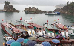 Hòa Bình buộc 169 tàu du lịch nằm bờ vì không có đăng ký, đăng kiểm