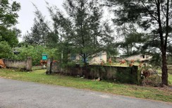 Khu bến cảng hơn 14.000 tỷ ở Quảng Trị khi nào mới thi công?