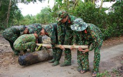 Cải tạo vuông tôm, hoảng hốt phát hiện quả bom nặng 250kg