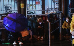 Trắng đêm vạ vật, che ô ngủ gật dưới mưa chờ lấy ấn đền Trần