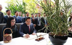 Vì sao Singapore đặt tên hoa lan theo tên Thủ tướng và phu nhân Việt Nam?