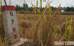 Người dân mong ngóng ngày cao tốc Châu Đốc - Cần Thơ - Sóc Trăng khởi công